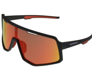 Sport gafas de sol WS4042 Gamswild TR90 "Top Model 2026"